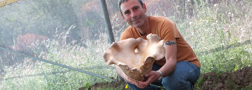 Agricoltura naturale
