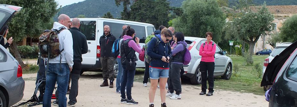 Gite in minibus